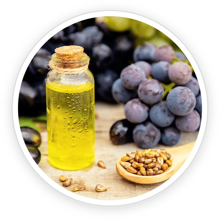 Grape seed extract rich in antioxidants for circulation and cellular health