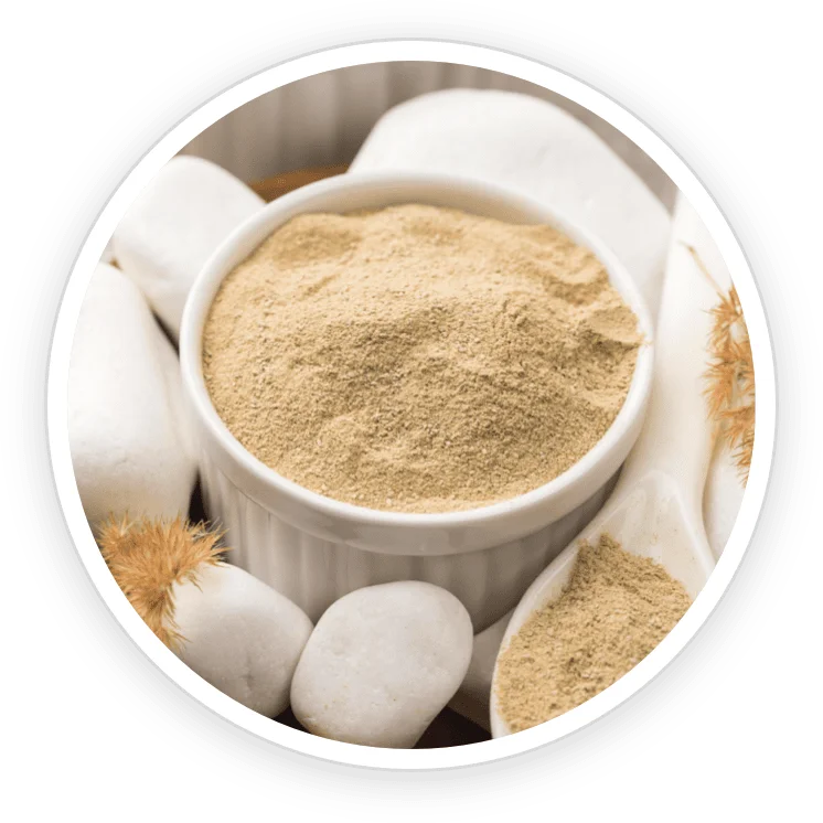 Silk protein powder derived from silkworms for skin and cellular health